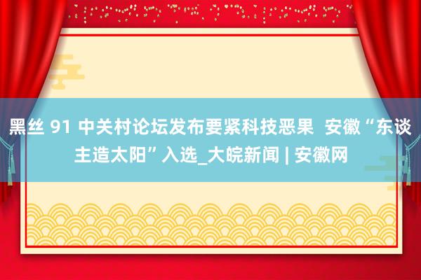 黑丝 91 中关村论坛发布要紧科技恶果  安徽“东谈主造太阳”入选_大皖新闻 | 安徽网