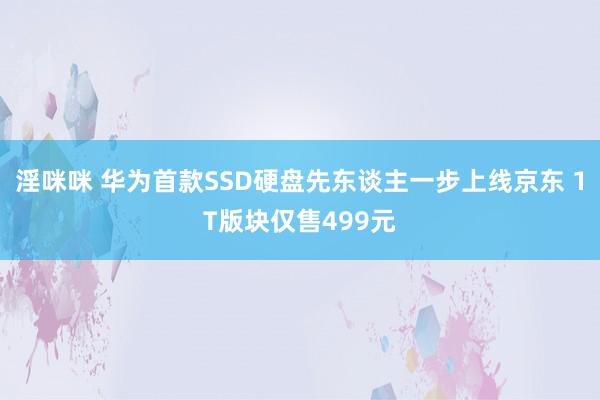 淫咪咪 华为首款SSD硬盘先东谈主一步上线京东 1T版块仅售499元