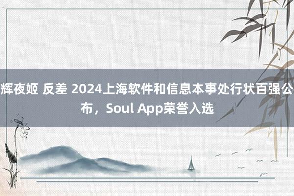 辉夜姬 反差 2024上海软件和信息本事处行状百强公布，Soul App荣誉入选
