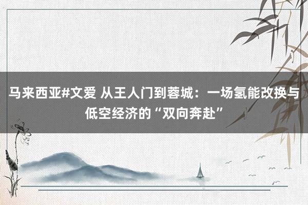 马来西亚#文爱 从王人门到蓉城：一场氢能改换与低空经济的“双向奔赴”