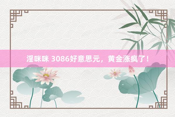 淫咪咪 3086好意思元，黄金涨疯了！