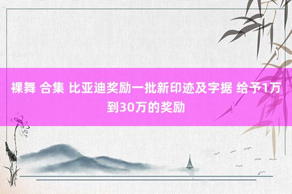裸舞 合集 比亚迪奖励一批新印迹及字据 给予1万到30万的奖励