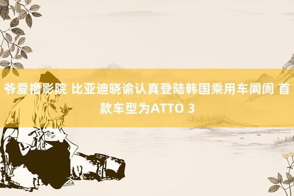 爷爱撸影院 比亚迪晓谕认真登陆韩国乘用车阛阓 首款车型为ATTO 3