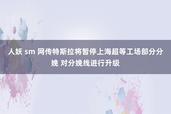 人妖 sm 网传特斯拉将暂停上海超等工场部分分娩 对分娩线进行升级
