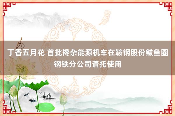 丁香五月花 首批搀杂能源机车在鞍钢股份鲅鱼圈钢铁分公司请托使用