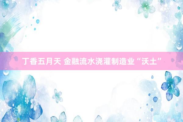 丁香五月天 金融流水浇灌制造业“沃土”