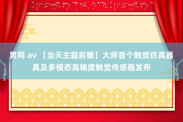 男同 av 【当天主题前瞻】大师首个触觉仿真器具及多模态高精度触觉传感器发布