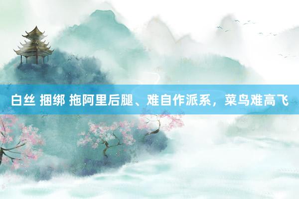 白丝 捆绑 拖阿里后腿、难自作派系，菜鸟难高飞