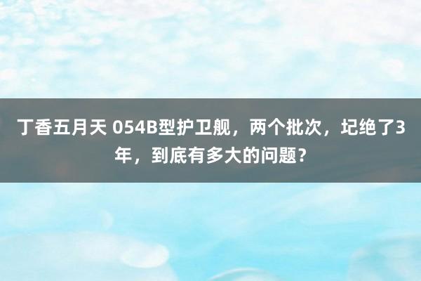 丁香五月天 054B型护卫舰，两个批次，圮绝了3年，到底有多大的问题？