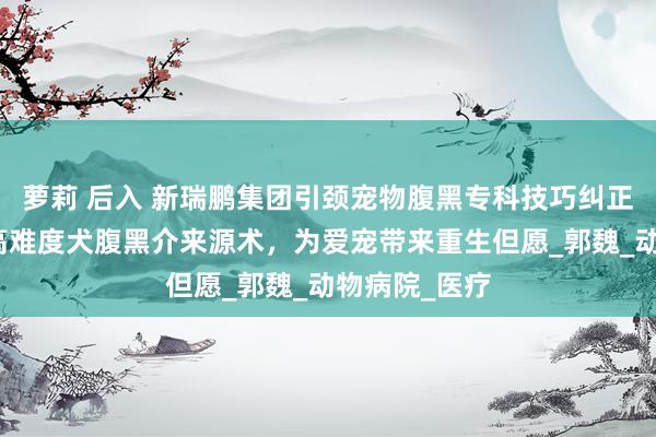 萝莉 后入 新瑞鹏集团引颈宠物腹黑专科技巧纠正：告成施行高难度犬腹黑介来源术，为爱宠带来重生但愿_郭魏_动物病院_医疗