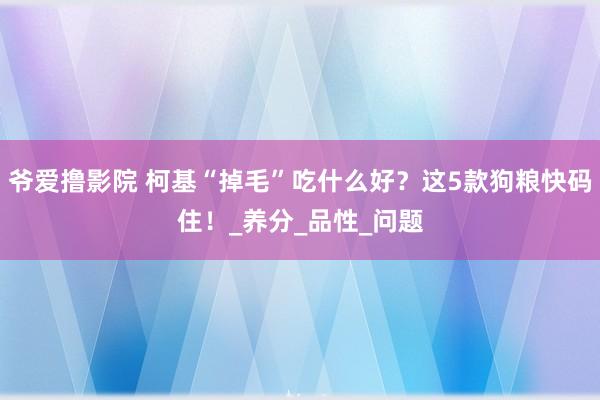爷爱撸影院 柯基“掉毛”吃什么好？这5款狗粮快码住！_养分_品性_问题