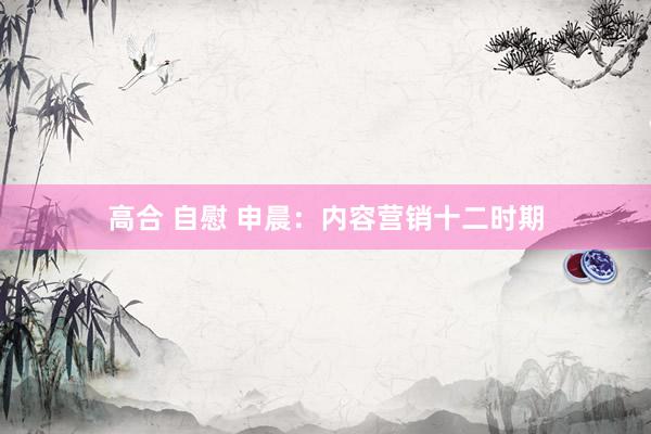 高合 自慰 申晨：内容营销十二时期