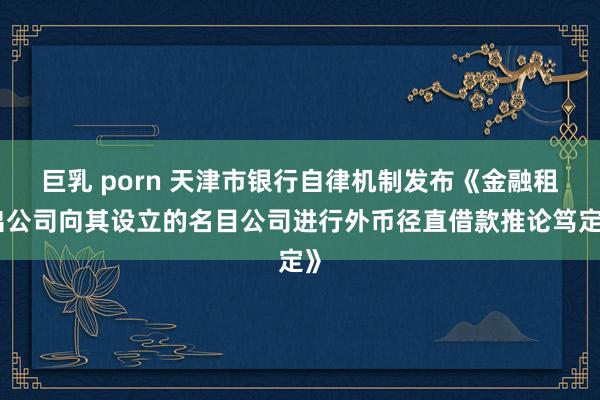 巨乳 porn 天津市银行自律机制发布《金融租出公司向其设立的名目公司进行外币径直借款推论笃定》