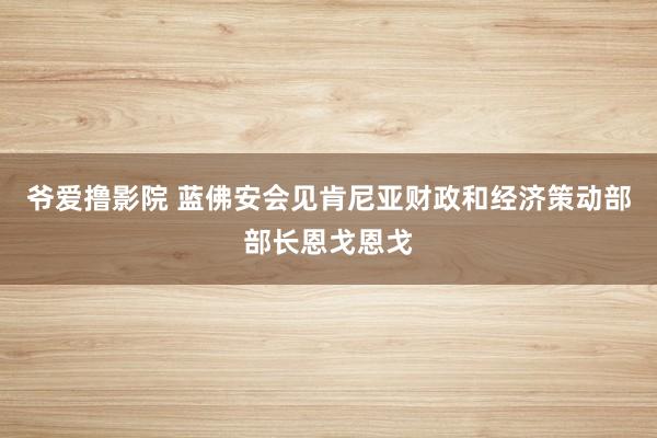 爷爱撸影院 蓝佛安会见肯尼亚财政和经济策动部部长恩戈恩戈