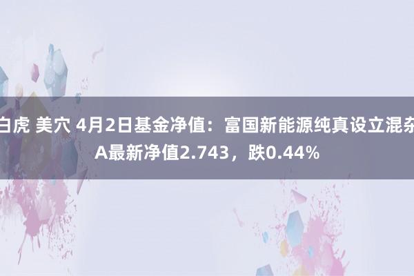 白虎 美穴 4月2日基金净值：富国新能源纯真设立混杂A最新净值2.743，跌0.44%