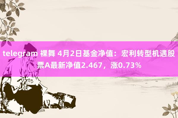 telegram 裸舞 4月2日基金净值：宏利转型机遇股票A最新净值2.467，涨0.73%