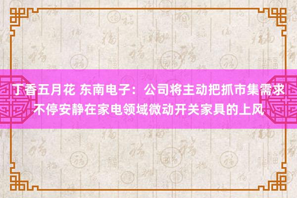 丁香五月花 东南电子：公司将主动把抓市集需求不停安静在家电领域微动开关家具的上风