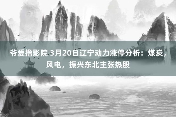 爷爱撸影院 3月20日辽宁动力涨停分析：煤炭，风电，振兴东北主张热股