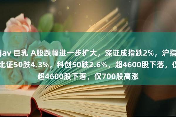jav 巨乳 A股跌幅进一步扩大，深证成指跌2%，沪指跌1.53%，北证50跌4.3%，科创50跌2.6%，超4600股下落，仅700股高涨