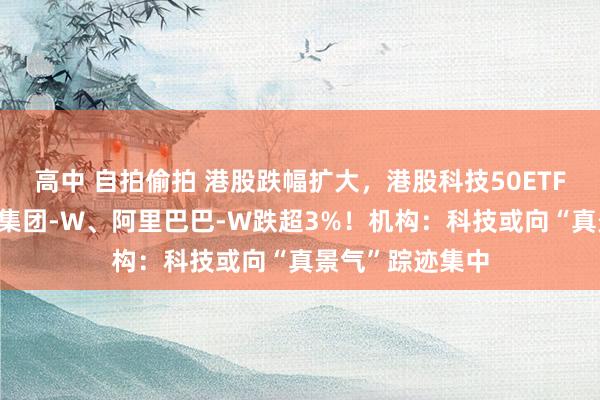 高中 自拍偷拍 港股跌幅扩大，港股科技50ETF跌超4%，小米集团-W、阿里巴巴-W跌超3%！机构：科技或向“真景气”踪迹集中