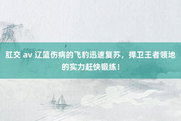 肛交 av 辽篮伤病的飞豹迅速复苏，捍卫王者领地的实力赶快锻练！