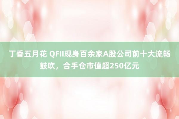丁香五月花 QFII现身百余家A股公司前十大流畅鼓吹，合手仓市值超250亿元