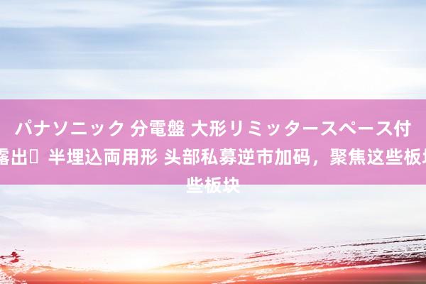 パナソニック 分電盤 大形リミッタースペース付 露出・半埋込両用形 头部私募逆市加码，聚焦这些板块