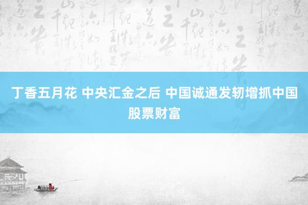 丁香五月花 中央汇金之后 中国诚通发轫增抓中国股票财富