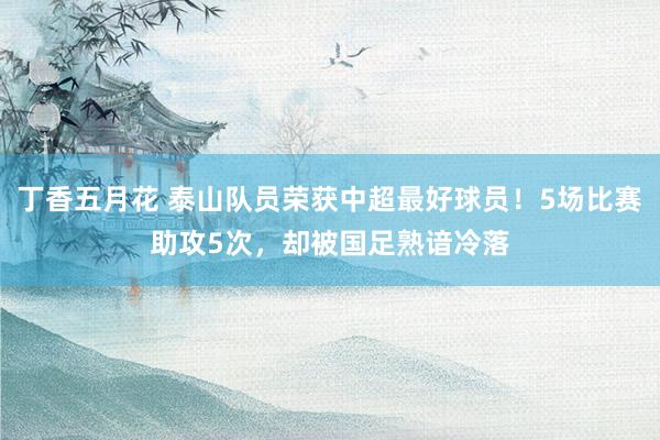 丁香五月花 泰山队员荣获中超最好球员！5场比赛助攻5次，却被国足熟谙冷落
