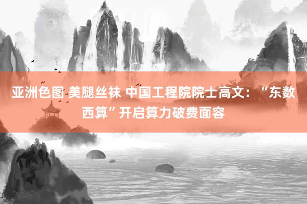 亚洲色图 美腿丝袜 中国工程院院士高文：“东数西算”开启算力破费面容