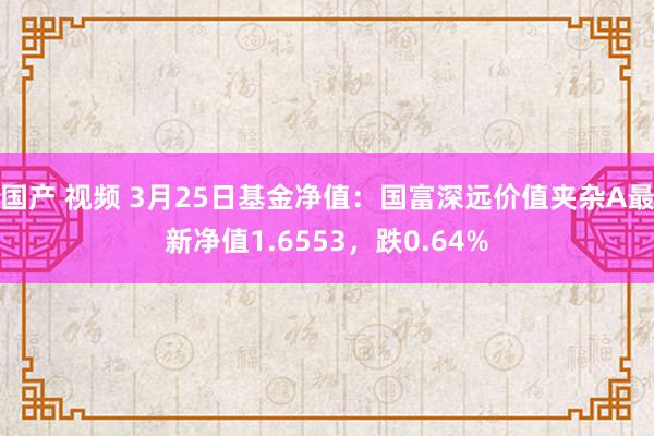 国产 视频 3月25日基金净值：国富深远价值夹杂A最新净值1.6553，跌0.64%