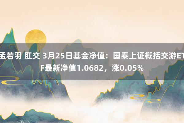 孟若羽 肛交 3月25日基金净值：国泰上证概括交游ETF最新净值1.0682，涨0.05%