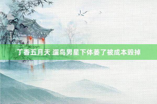 丁香五月天 遛鸟男星下体萎了被成本毁掉