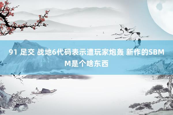 91 足交 战地6代码表示遭玩家炮轰 新作的SBMM是个啥东西