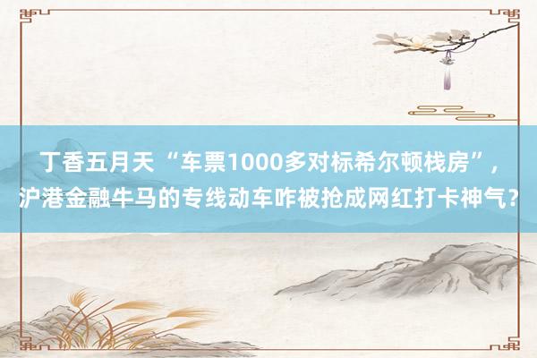 丁香五月天 “车票1000多对标希尔顿栈房”，沪港金融牛马的专线动车咋被抢成网红打卡神气？