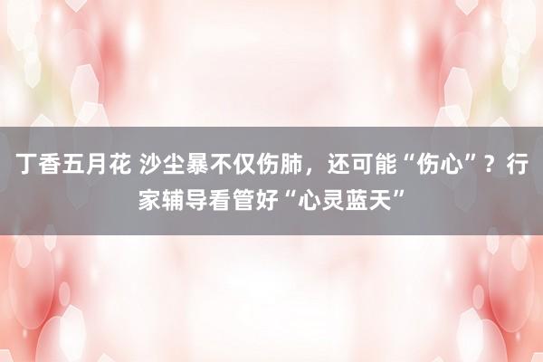 丁香五月花 沙尘暴不仅伤肺，还可能“伤心”？行家辅导看管好“心灵蓝天”