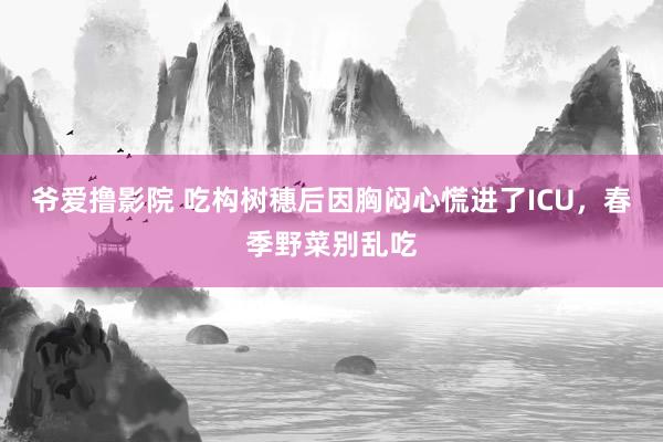 爷爱撸影院 吃构树穗后因胸闷心慌进了ICU，春季野菜别乱吃