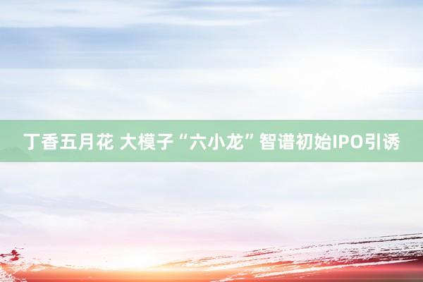 丁香五月花 大模子“六小龙”智谱初始IPO引诱