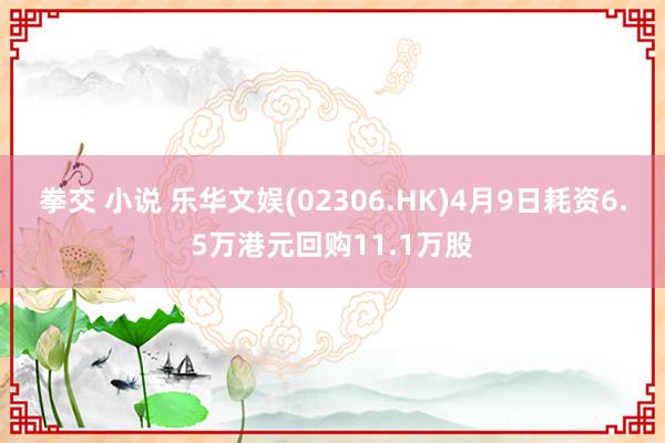 拳交 小说 乐华文娱(02306.HK)4月9日耗资6.5万港元回购11.1万股