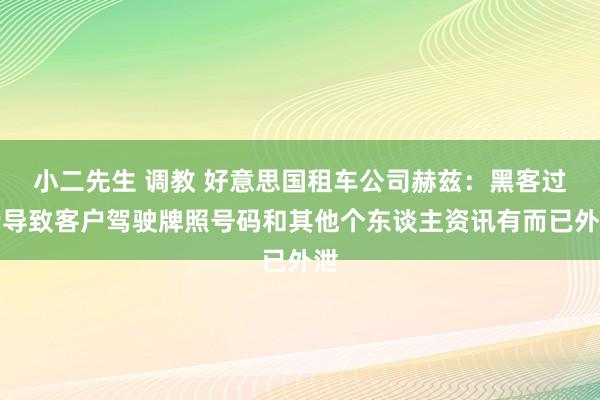 小二先生 调教 好意思国租车公司赫兹：黑客过错导致客户驾驶牌照号码和其他个东谈主资讯有而已外泄