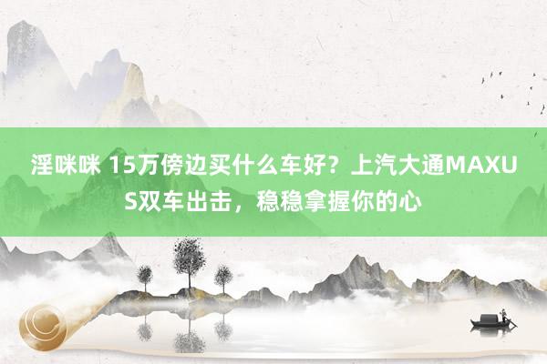 淫咪咪 15万傍边买什么车好？上汽大通MAXUS双车出击，稳稳拿握你的心