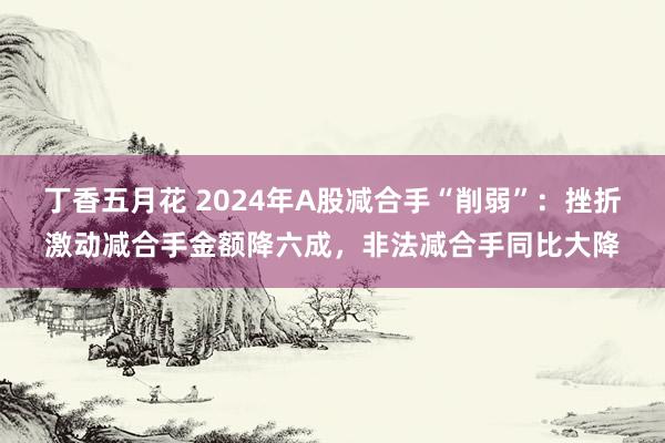 丁香五月花 2024年A股减合手“削弱”：挫折激动减合手金额降六成，非法减合手同比大降