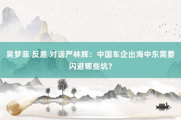 吴梦菲 反差 对话严林辉：中国车企出海中东需要闪避哪些坑？