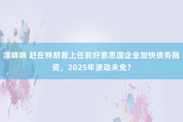 淫咪咪 赶在特朗普上任前好意思国企业加快债务融资，2025年波动未免？