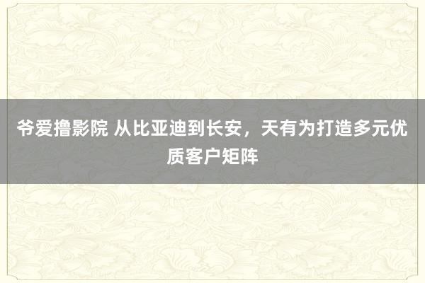 爷爱撸影院 从比亚迪到长安，天有为打造多元优质客户矩阵