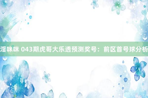 淫咪咪 043期虎哥大乐透预测奖号：前区首号球分析