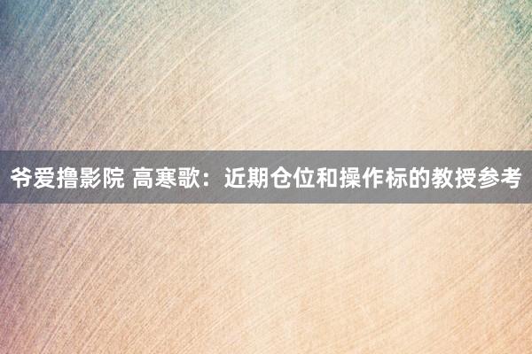 爷爱撸影院 高寒歌：近期仓位和操作标的教授参考