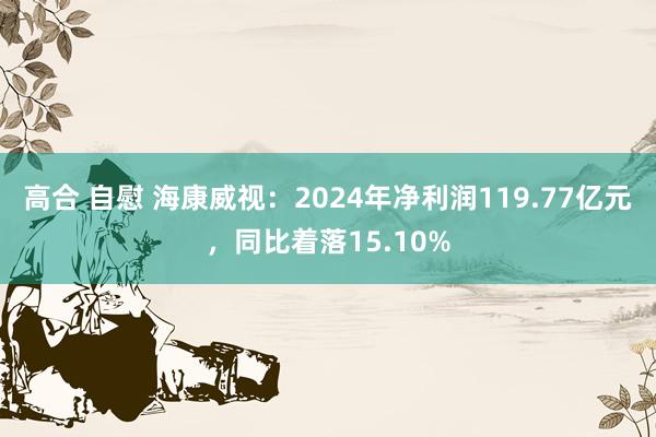 高合 自慰 海康威视：2024年净利润119.77亿元，同比着落15.10%