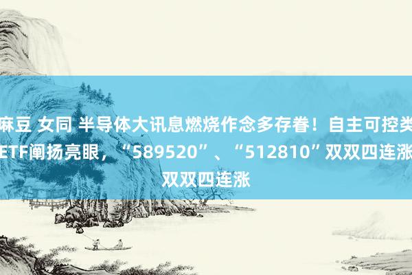 麻豆 女同 半导体大讯息燃烧作念多存眷！自主可控类ETF阐扬亮眼，“589520”、“512810”双双四连涨