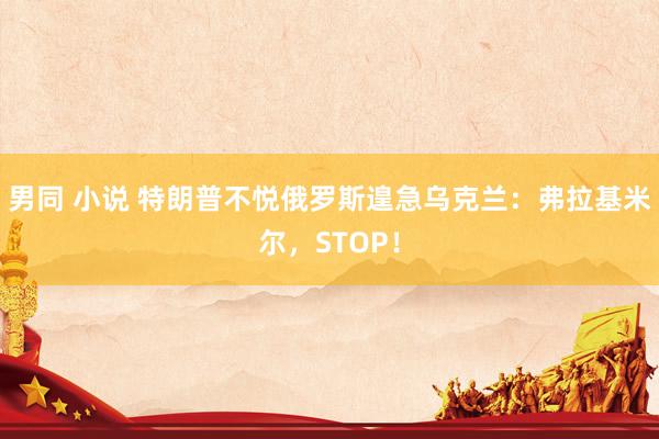 男同 小说 特朗普不悦俄罗斯遑急乌克兰：弗拉基米尔，STOP！